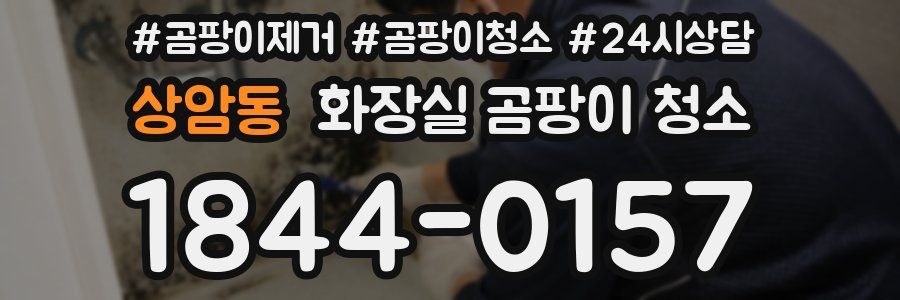 상암동 화장실 곰팡이 청소