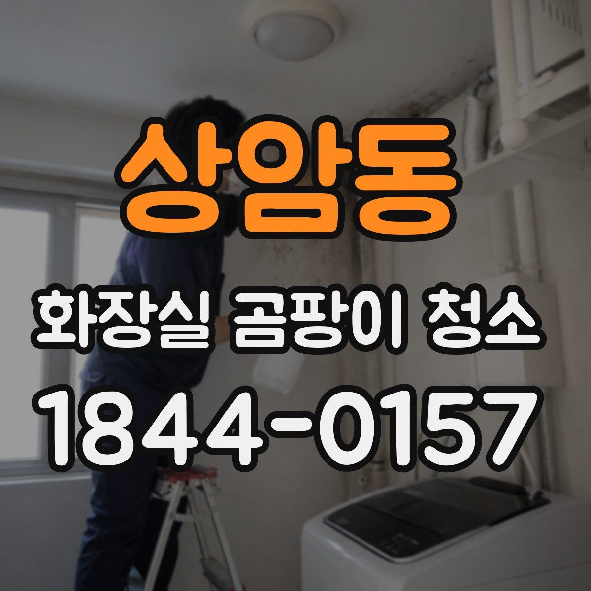 상암동 화장실 곰팡이 청소