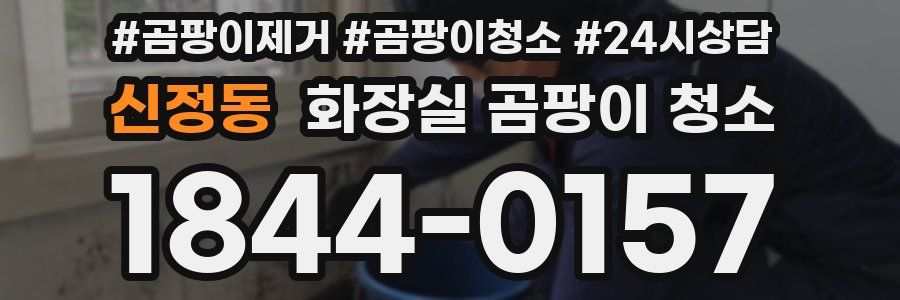 신정동 화장실 곰팡이 청소