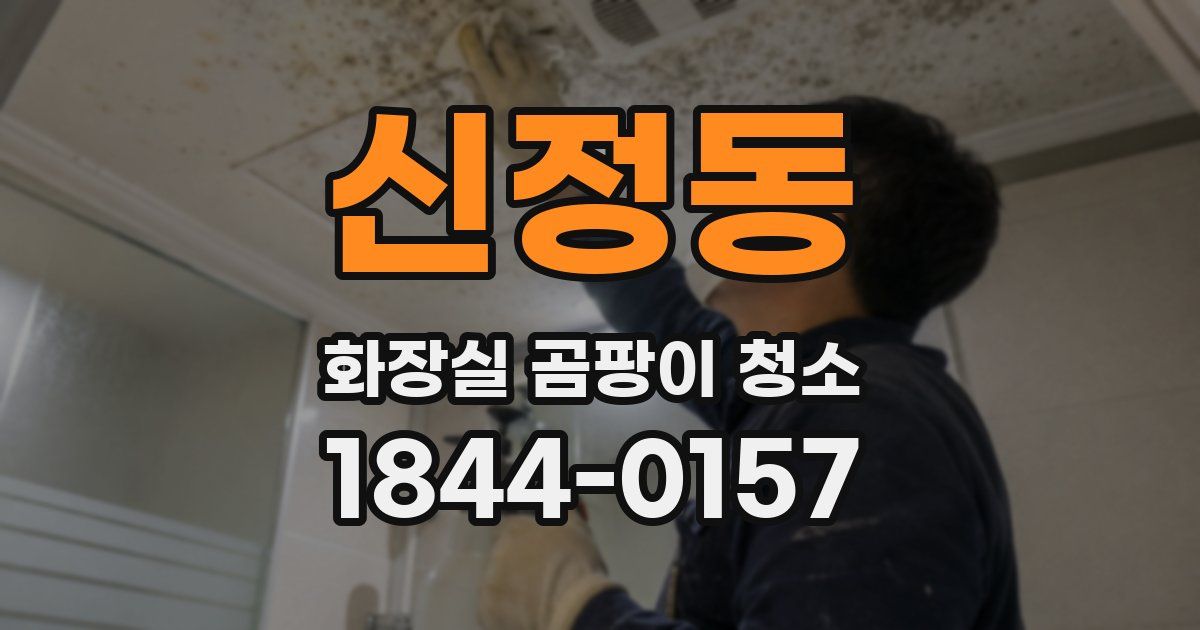 신정동 화장실 곰팡이 청소