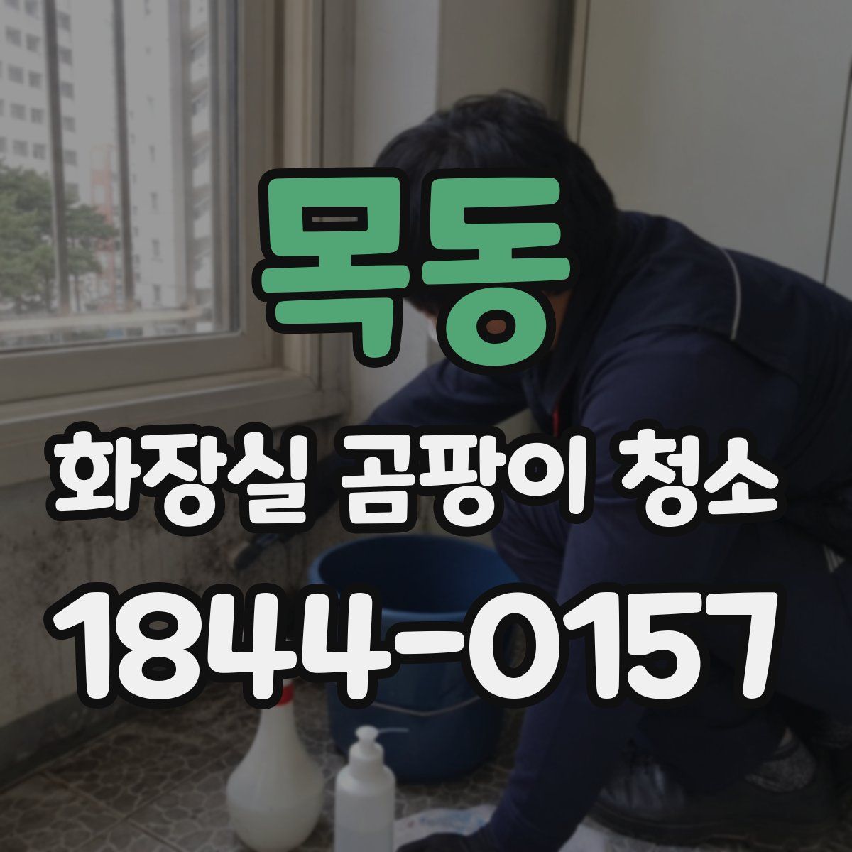 목동 화장실 곰팡이 청소