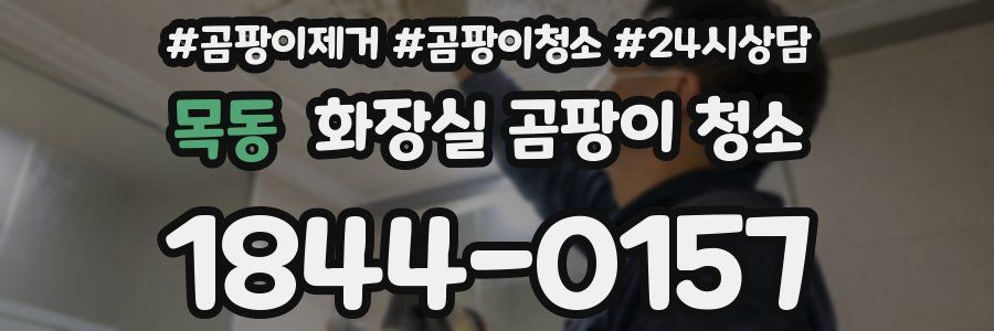 목동 화장실 곰팡이 청소
