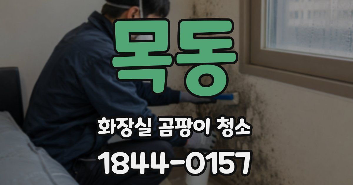 목동 화장실 곰팡이 청소