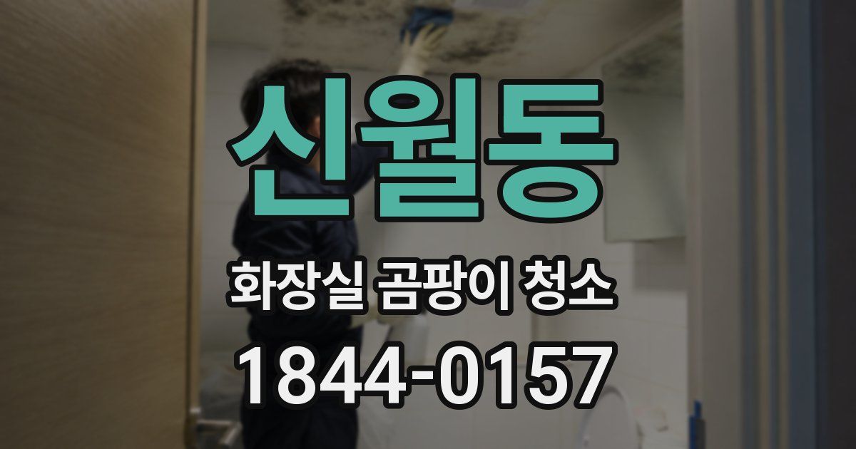 신월동 화장실 곰팡이 청소