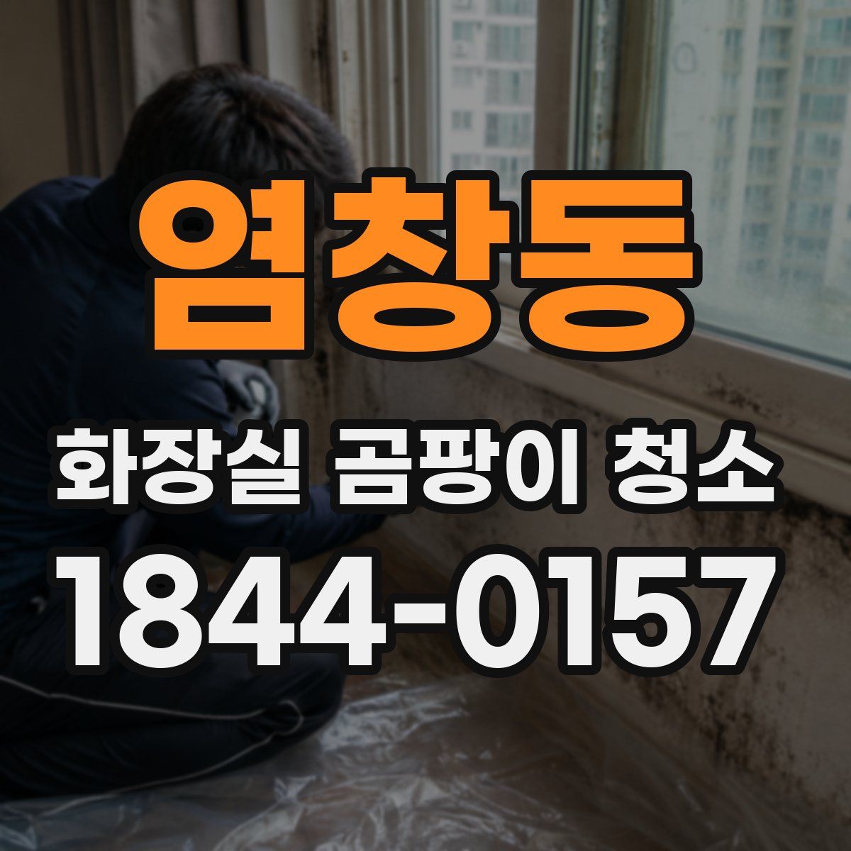 염창동 화장실 곰팡이 청소