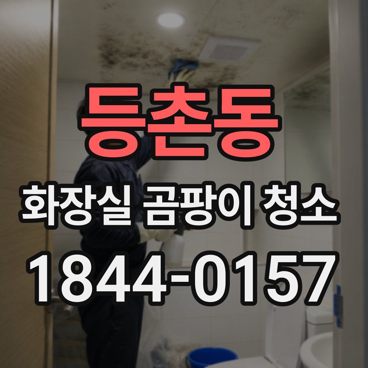 등촌동 화장실 곰팡이 청소