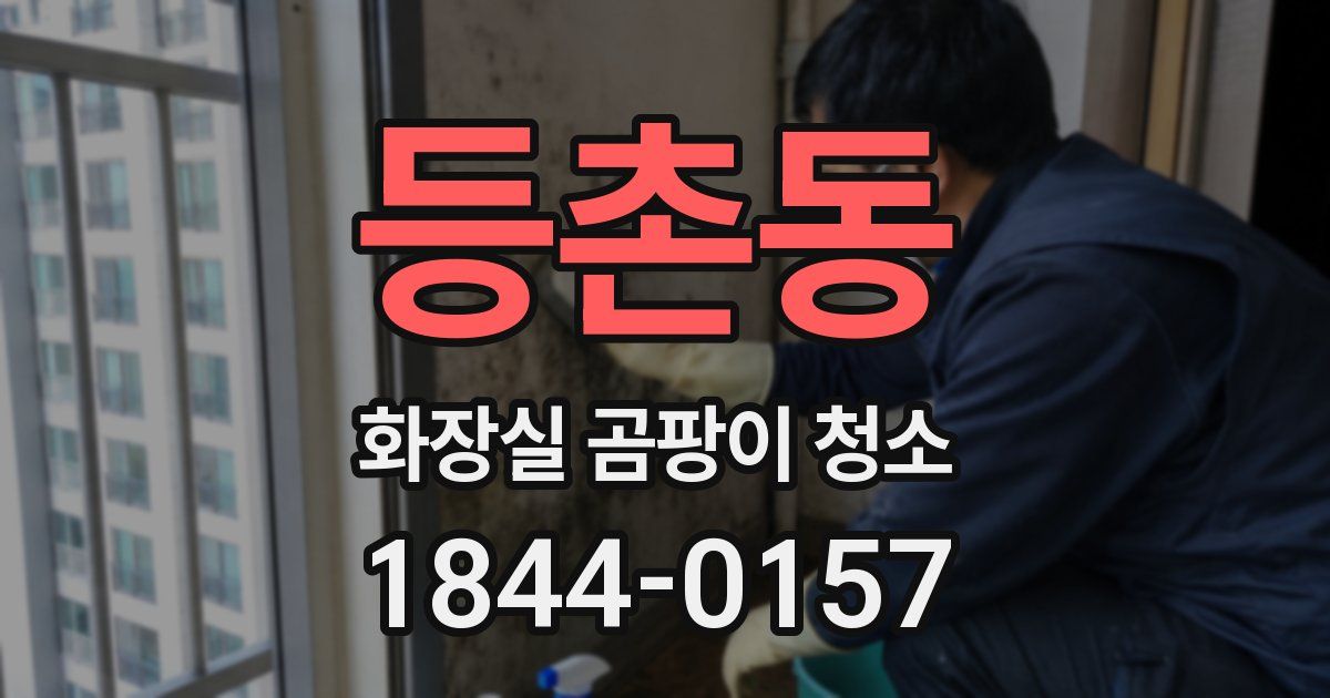 등촌동 화장실 곰팡이 청소