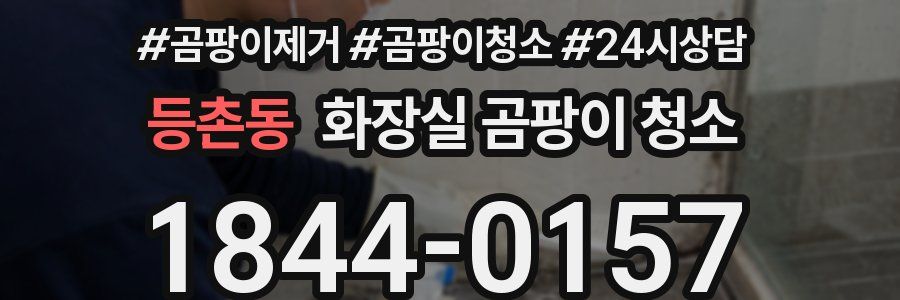 등촌동 화장실 곰팡이 청소