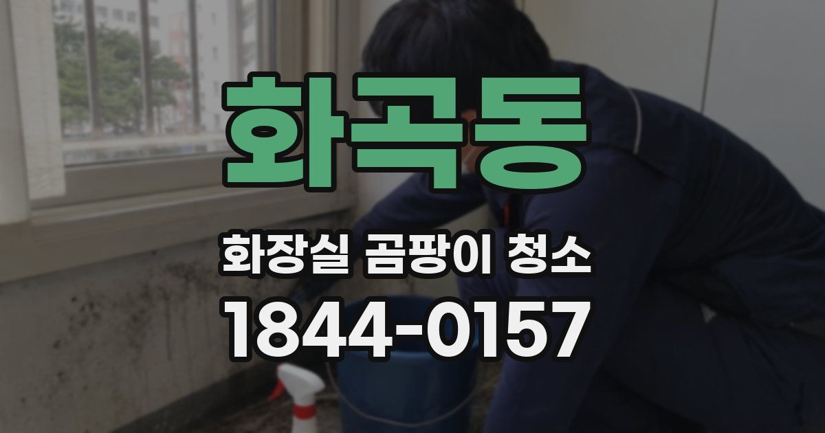 화곡동 화장실 곰팡이 청소