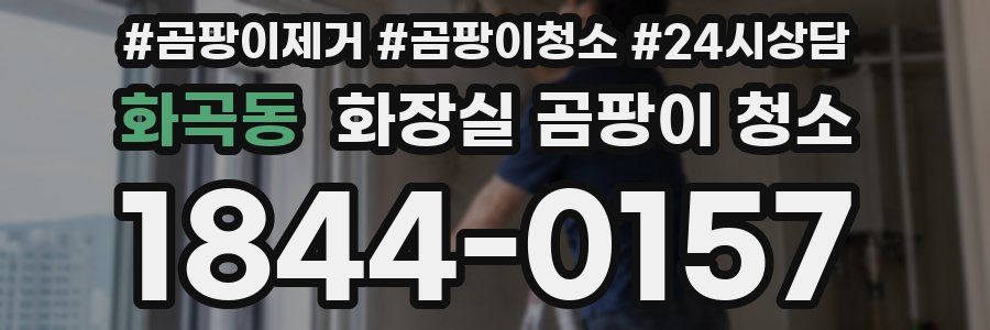 화곡동 화장실 곰팡이 청소