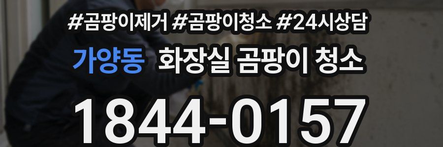 가양동 화장실 곰팡이 청소