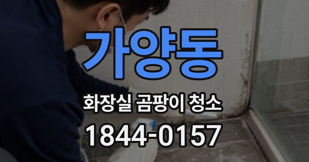 가양동 화장실 곰팡이 청소