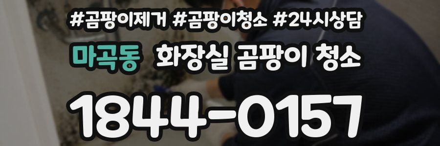 마곡동 화장실 곰팡이 청소