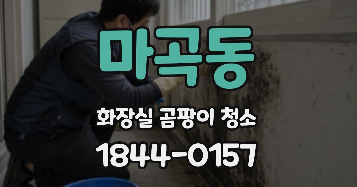 마곡동 화장실 곰팡이 청소