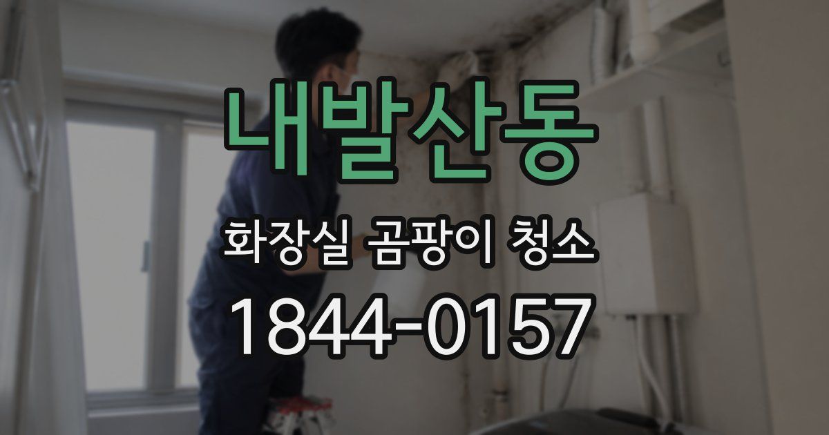 내발산동 화장실 곰팡이 청소