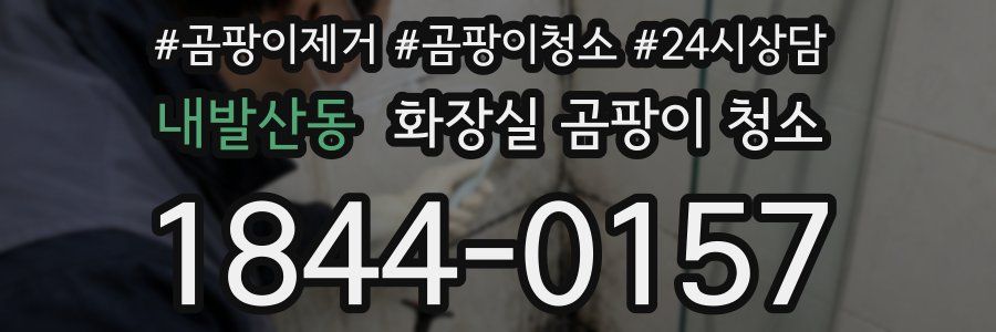 내발산동 화장실 곰팡이 청소