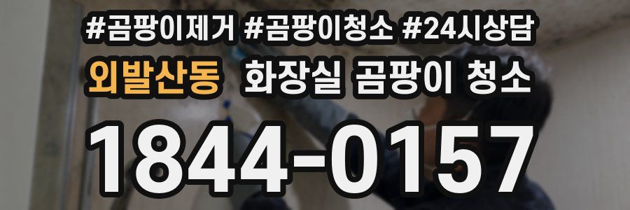 외발산동 화장실 곰팡이 청소