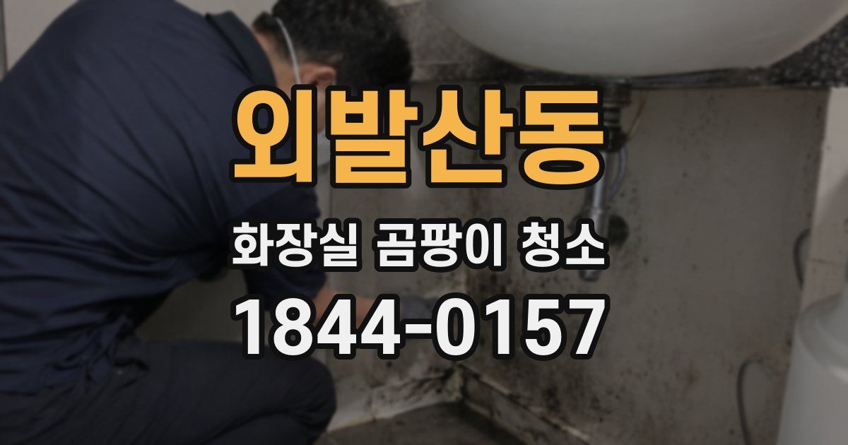 외발산동 화장실 곰팡이 청소