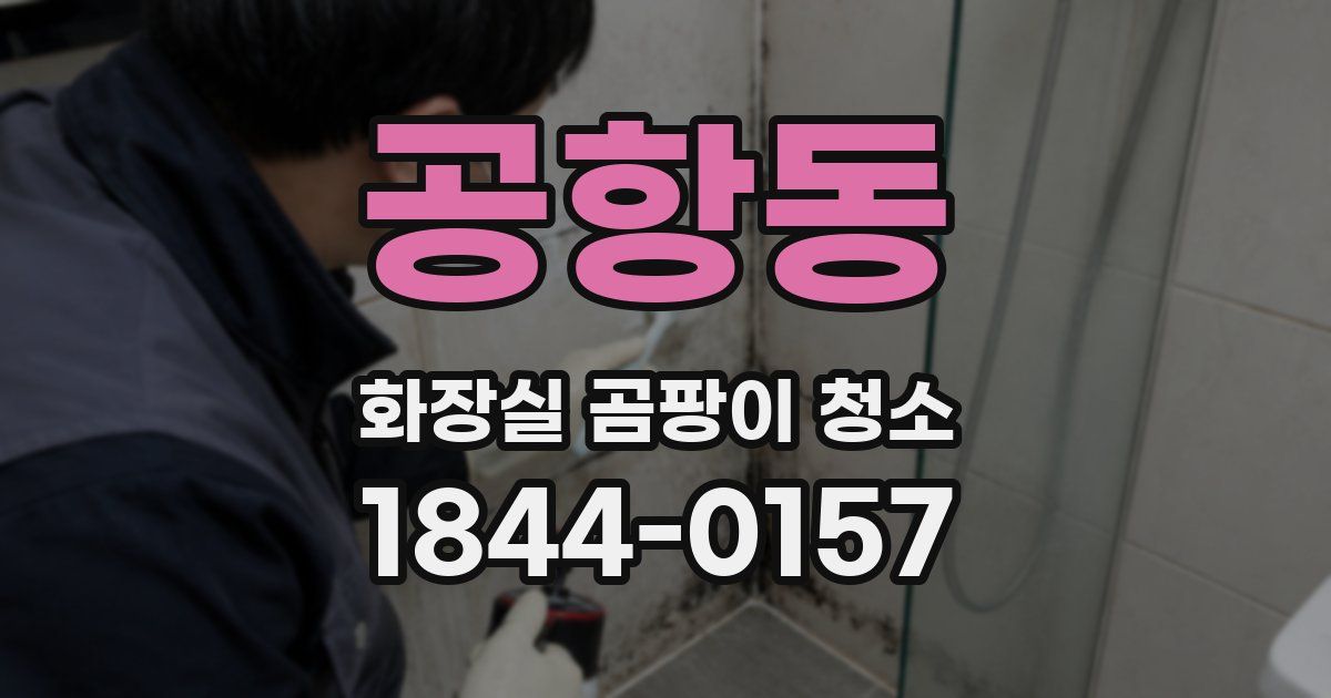 공항동 화장실 곰팡이 청소