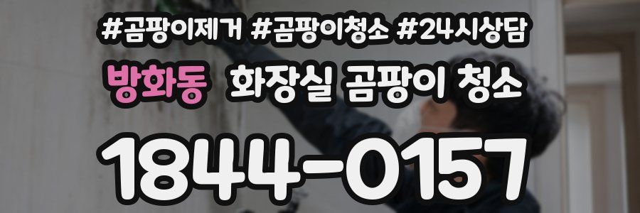 방화동 화장실 곰팡이 청소
