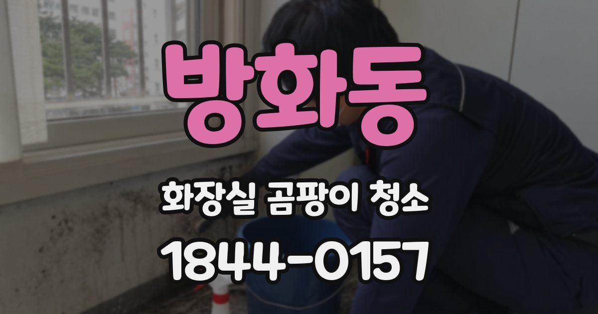 방화동 화장실 곰팡이 청소