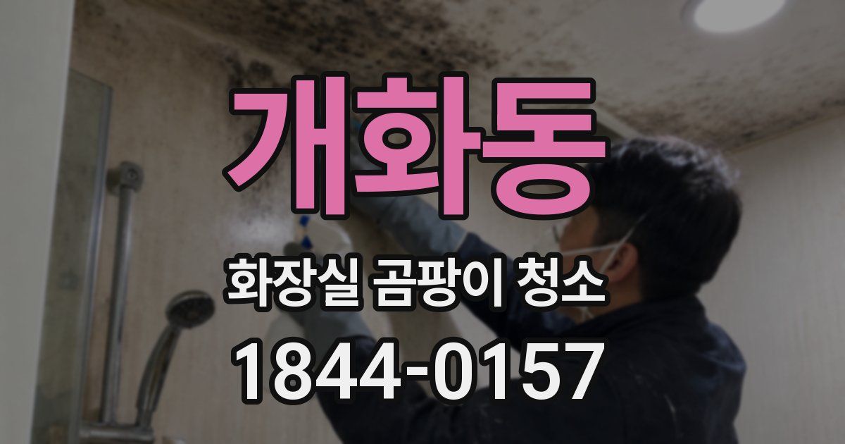 개화동 화장실 곰팡이 청소