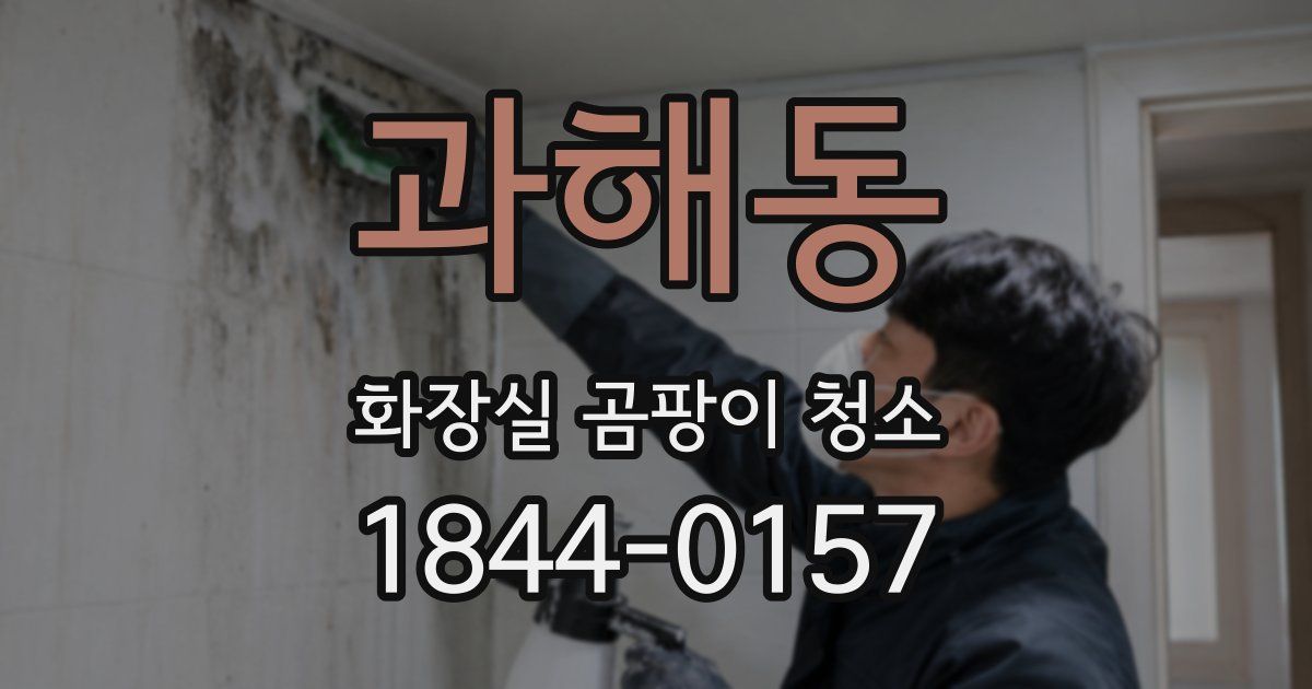 과해동 화장실 곰팡이 청소