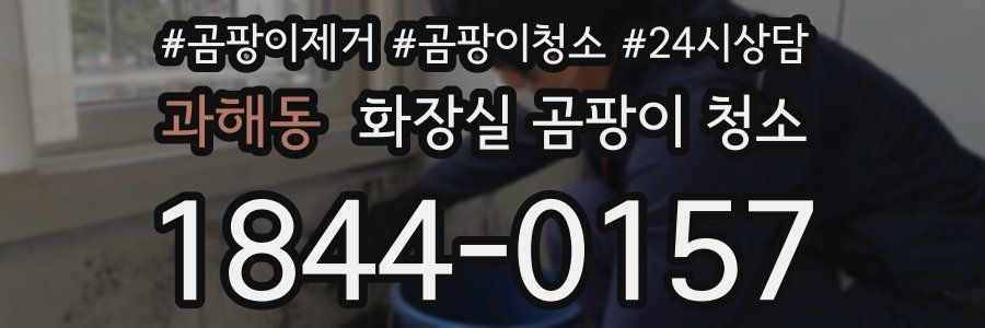 과해동 화장실 곰팡이 청소