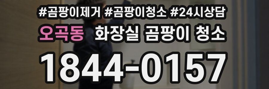 오곡동 화장실 곰팡이 청소