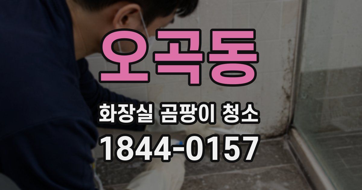 오곡동 화장실 곰팡이 청소