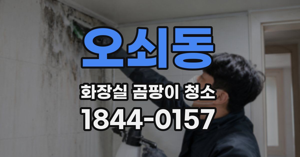 오쇠동 화장실 곰팡이 청소