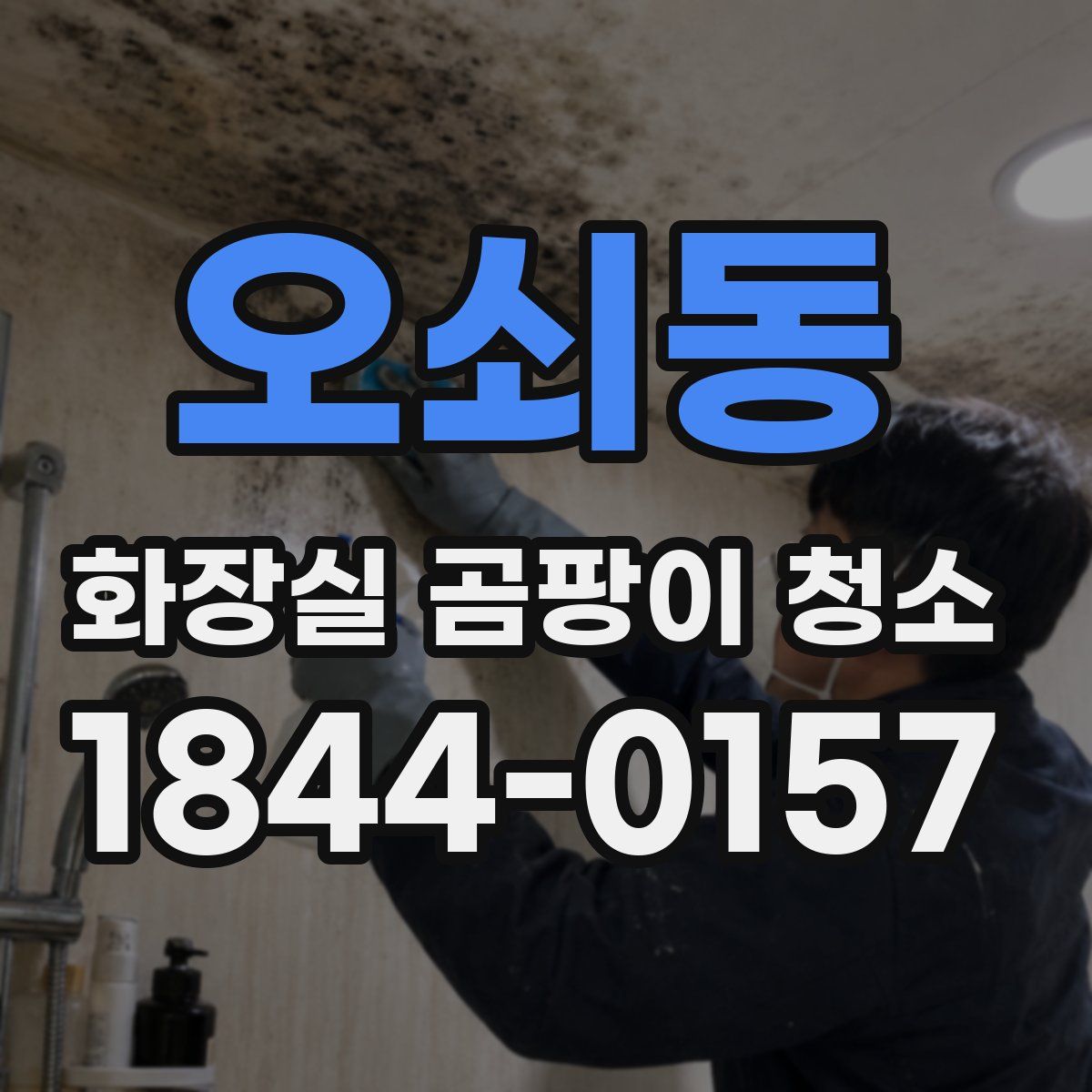 오쇠동 화장실 곰팡이 청소