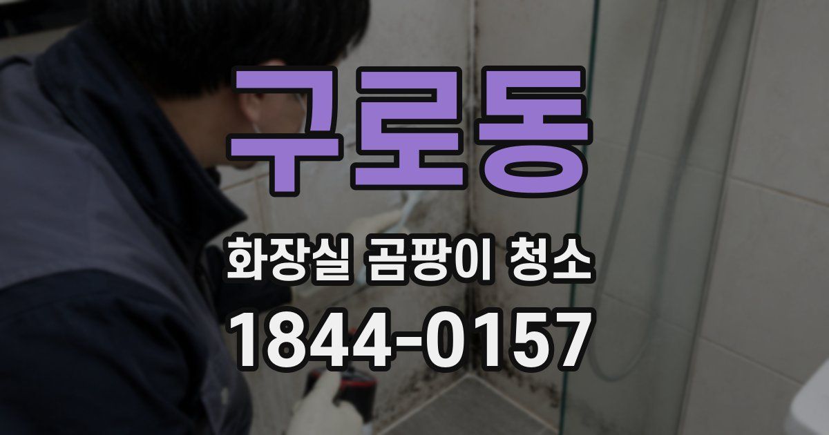 구로동 화장실 곰팡이 청소