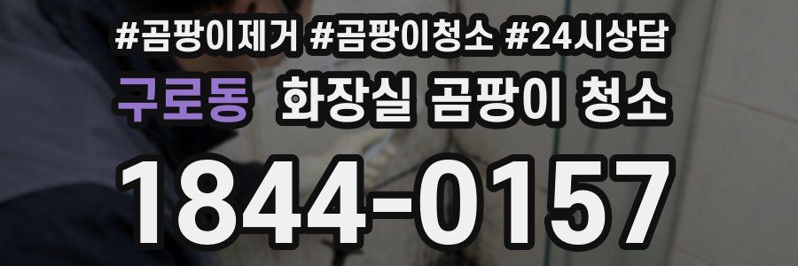 구로동 화장실 곰팡이 청소