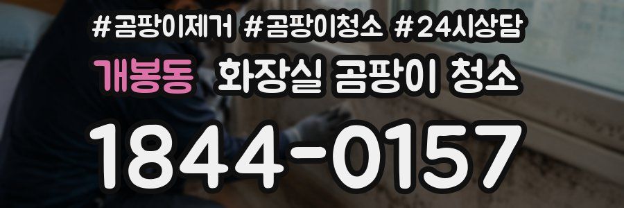 개봉동 화장실 곰팡이 청소