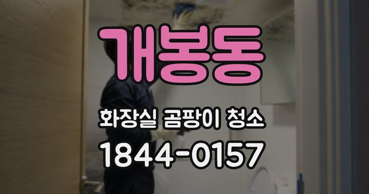 개봉동 화장실 곰팡이 청소