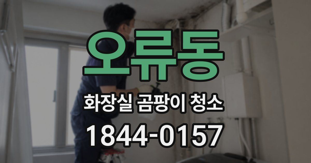 오류동 화장실 곰팡이 청소