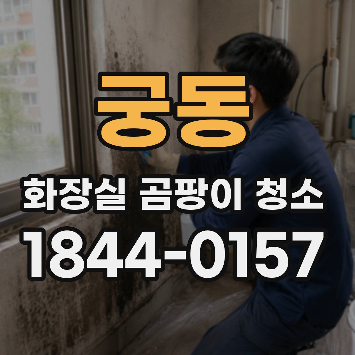 궁동 화장실 곰팡이 청소