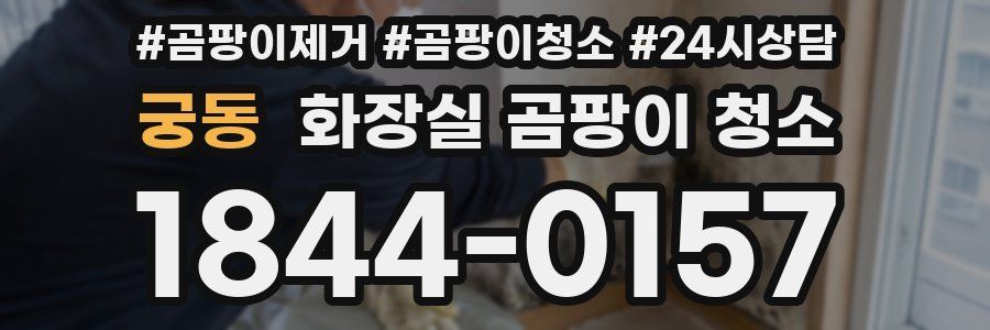 궁동 화장실 곰팡이 청소