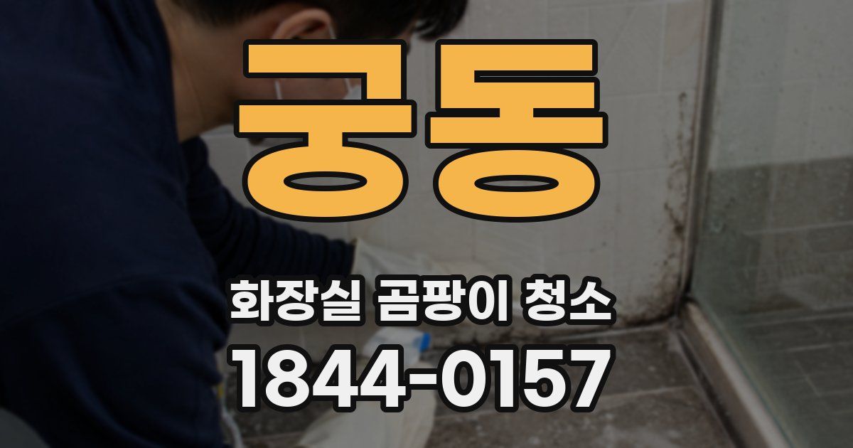 궁동 화장실 곰팡이 청소