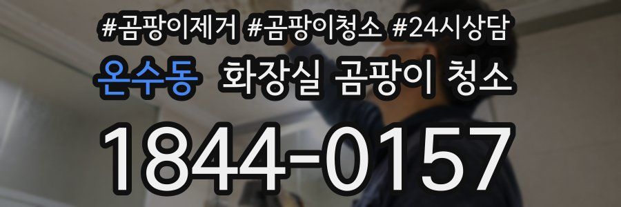 온수동 화장실 곰팡이 청소