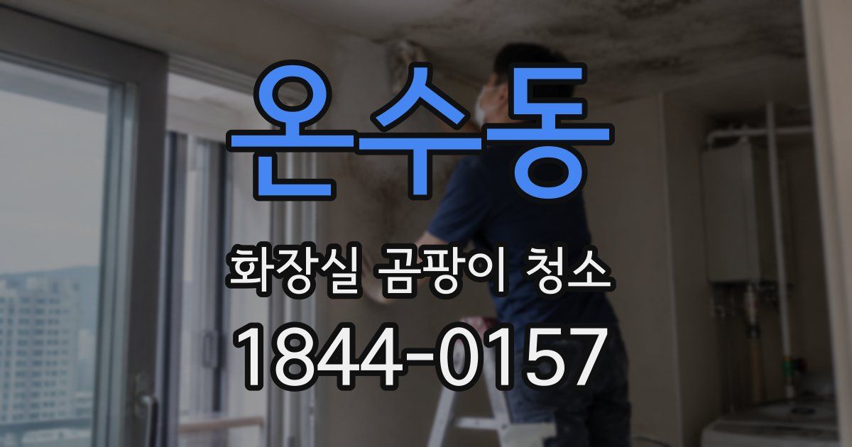온수동 화장실 곰팡이 청소