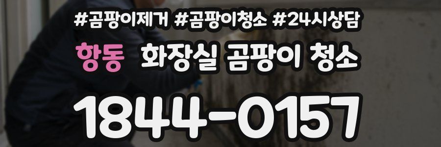 항동 화장실 곰팡이 청소
