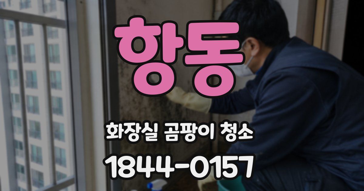 항동 화장실 곰팡이 청소