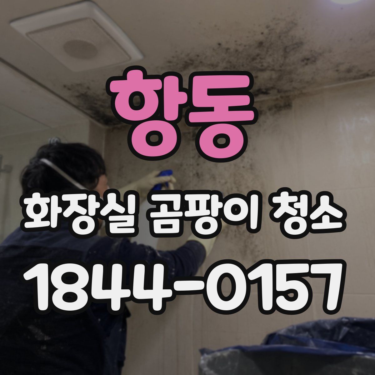 항동 화장실 곰팡이 청소