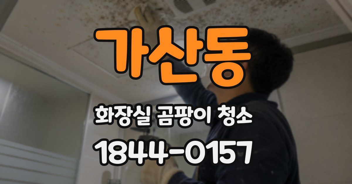 가산동 화장실 곰팡이 청소