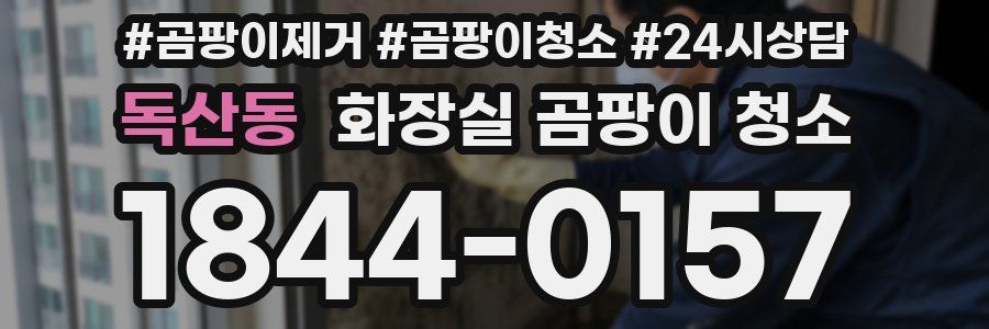 독산동 화장실 곰팡이 청소