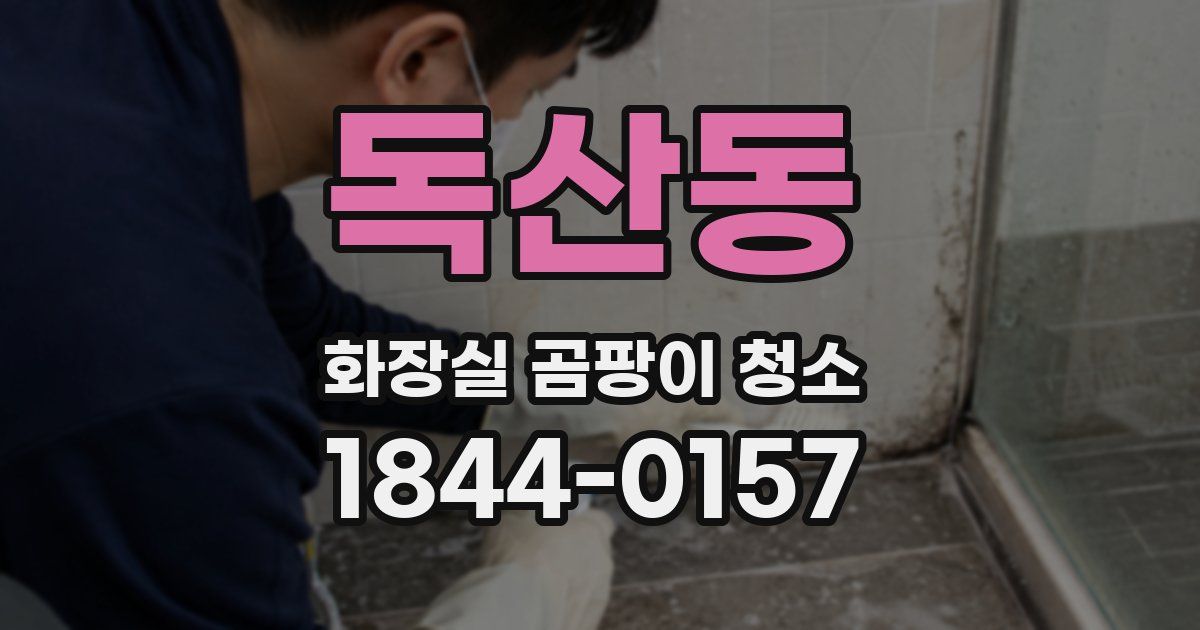 독산동 화장실 곰팡이 청소