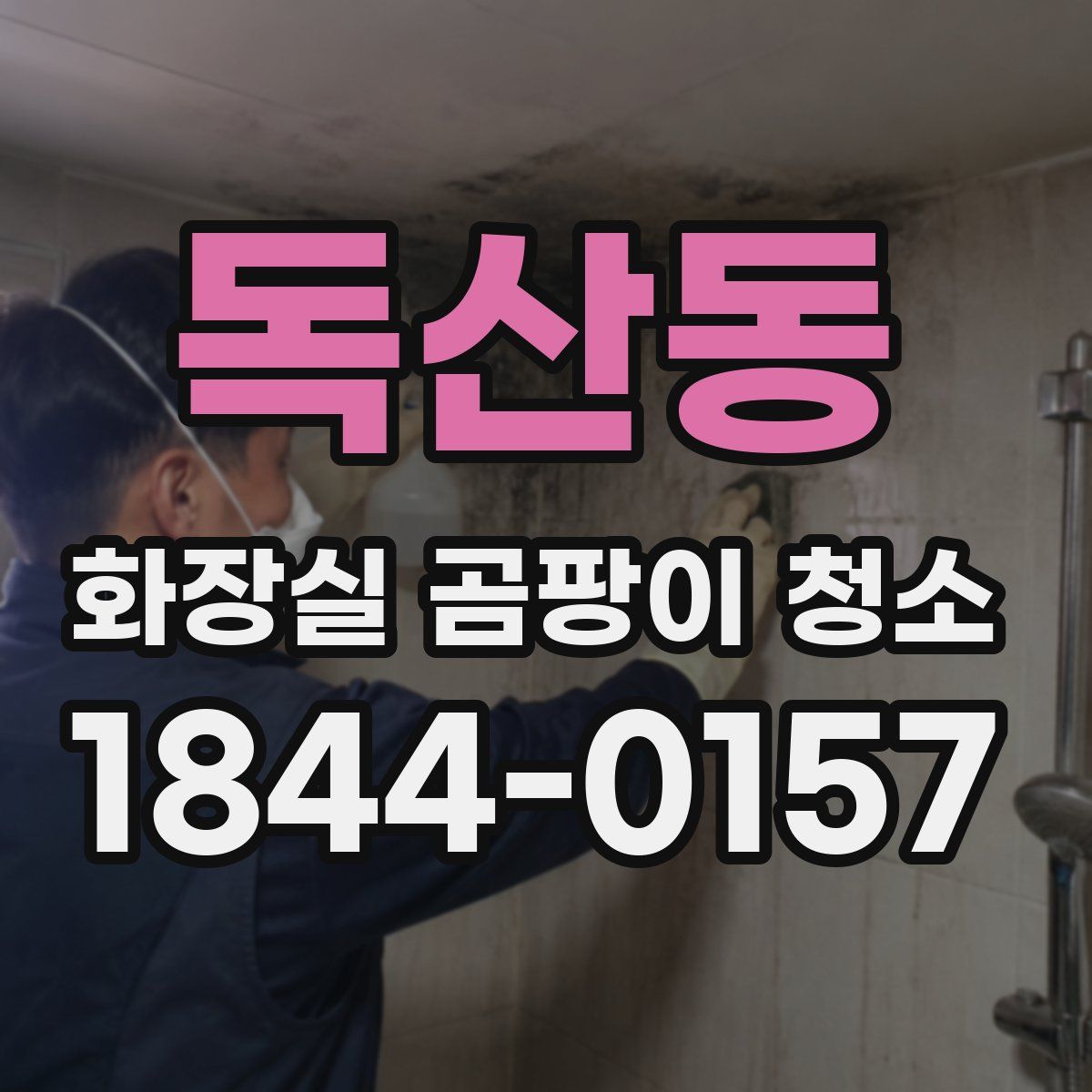 독산동 화장실 곰팡이 청소