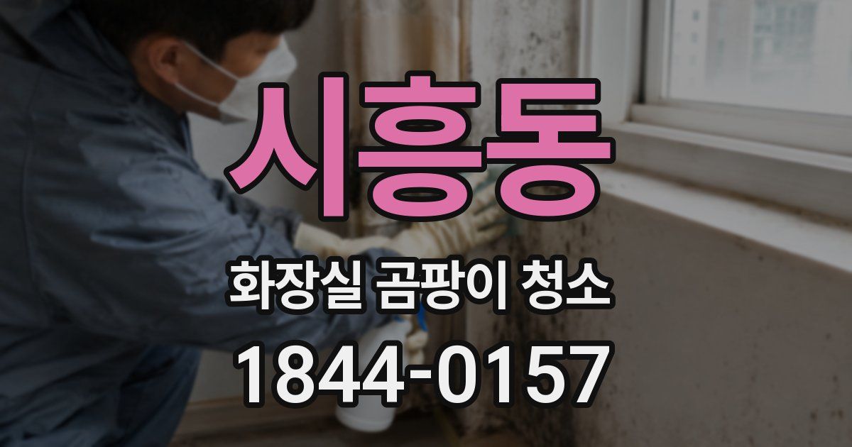 시흥동 화장실 곰팡이 청소